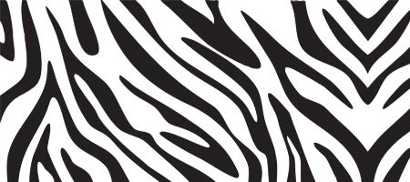 free zebra print